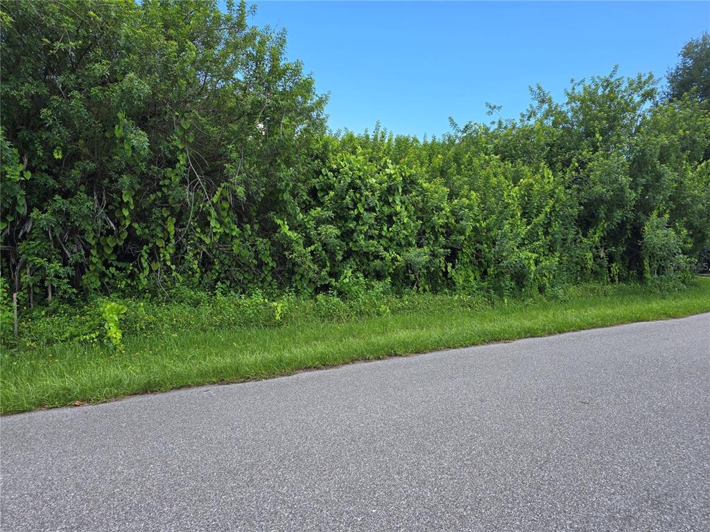 A paved road runs alongside a dense, overgrown area of trees and shrubs — 167 LENOIR STREET NW, PORT CHARLOTTE, FL