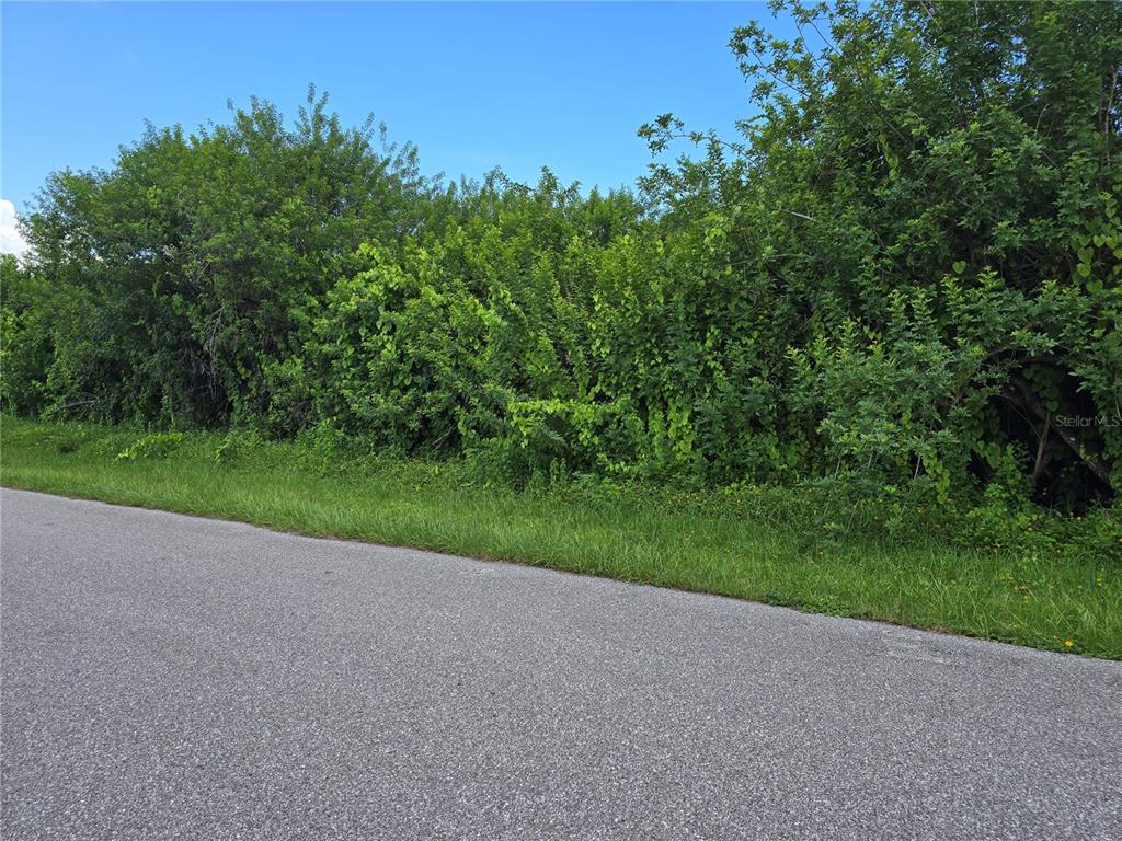 A paved road runs alongside a dense, overgrown area of green trees and shrubs — 167 LENOIR STREET NW, PORT CHARLOTTE, FL