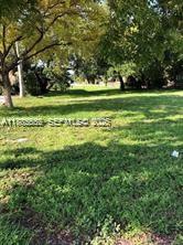 A grassy, tree-filled vacant lot is shown on a sunny day — 721 W Hallandale Beach Blvd, Hallandale Beach FL 33009, HALLANDALE BEACH, FL
