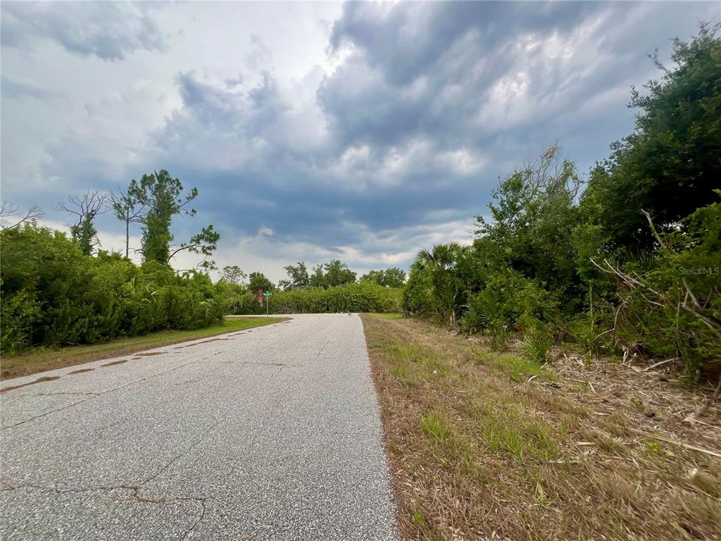 A paved road curves past dense, overgrown vegetation under a cloudy sky — 7370 SIOUX STREET, PORT CHARLOTTE, FL