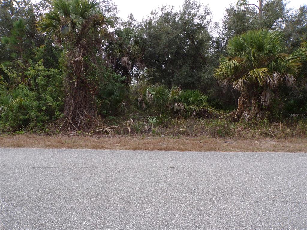 A view of a wooded, undeveloped residential lot from an adjacent paved road — ENID LANE, NORTH PORT, FL