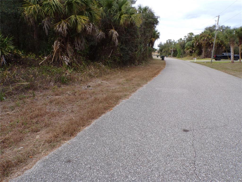 A paved road runs alongside a grassy shoulder bordered by dense trees and palm foliage — ENID LANE, NORTH PORT, FL