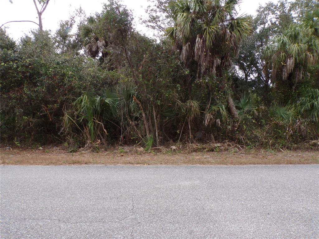 A view of a densely wooded, undeveloped lot bordering a paved asphalt road — ENID LANE, NORTH PORT, FL