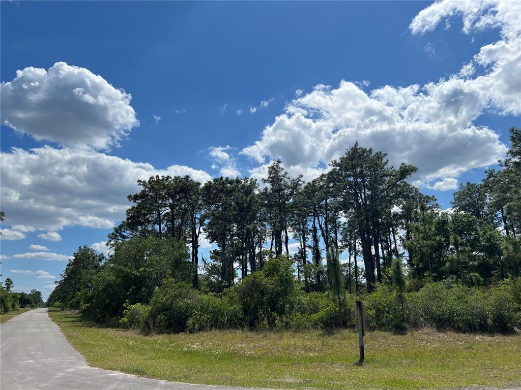 A paved road leads to a wooded lot with tall pine trees under a cloudy sky — 901 AZALEA DRIVE, INDIAN LAKE ESTATES, FL