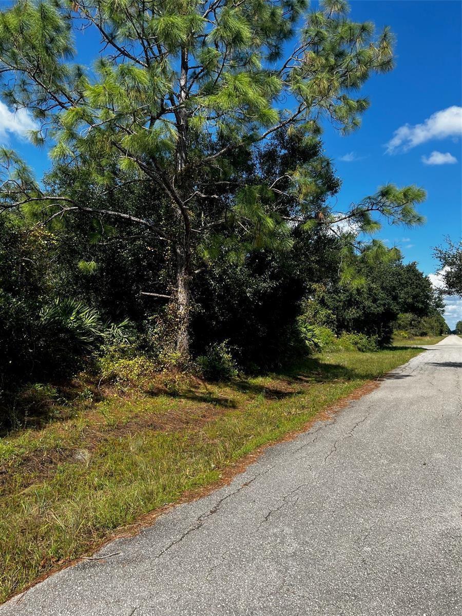 A paved road runs alongside a wooded lot with tall pine trees and dense vegetation — 1221 Hamilton Avenue, Lehigh Acres FL 33972, LEHIGH ACRES, FL