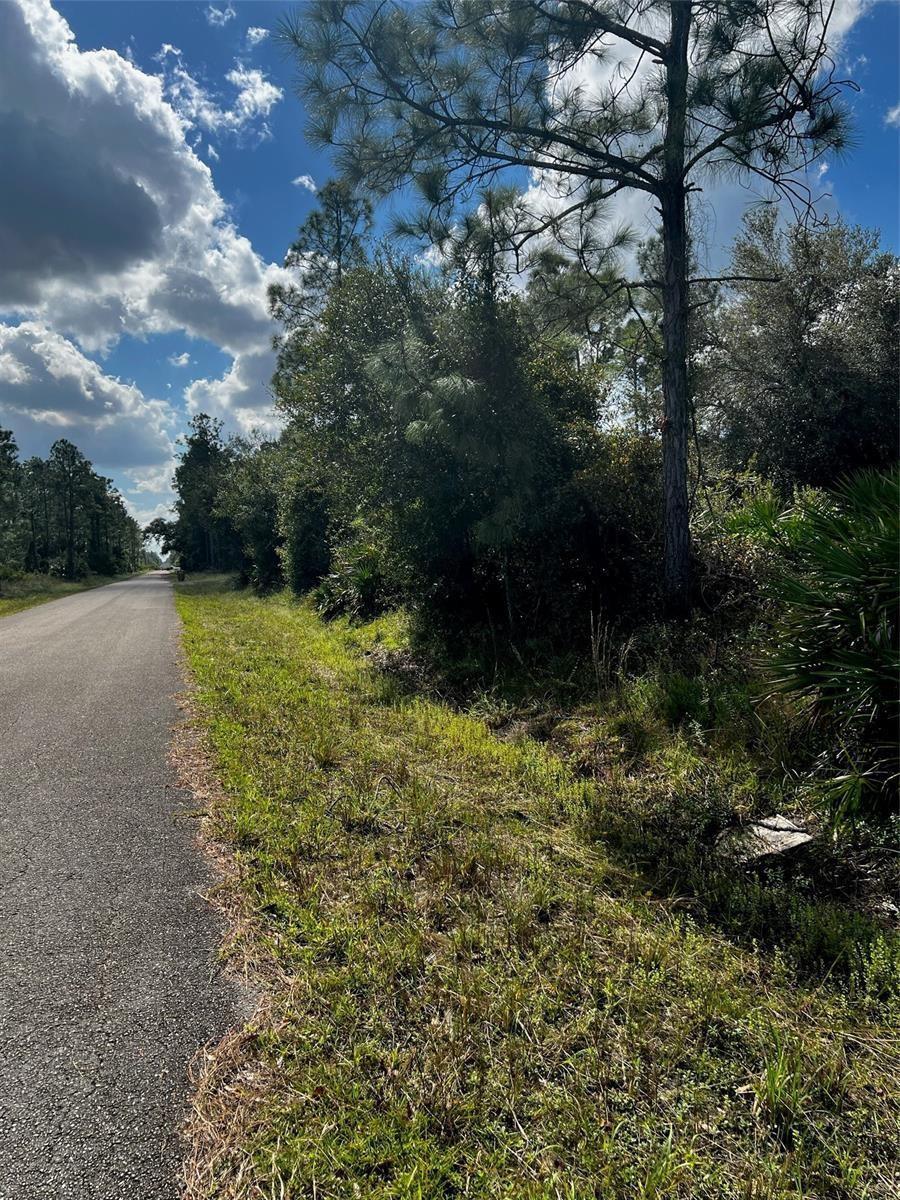 A paved road runs alongside a wooded lot with tall pine trees and native vegetation — 1221 Hamilton Avenue, Lehigh Acres FL 33972, LEHIGH ACRES, FL