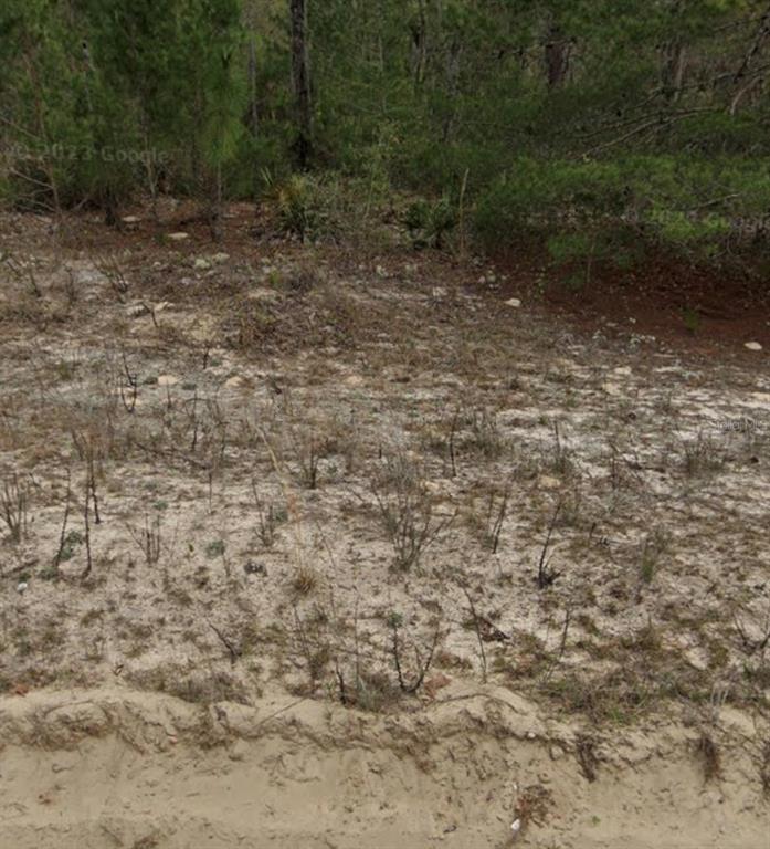 A vacant, sandy lot features sparse vegetation and a line of trees in the background — JANET AVE, INTERLACHEN, FL