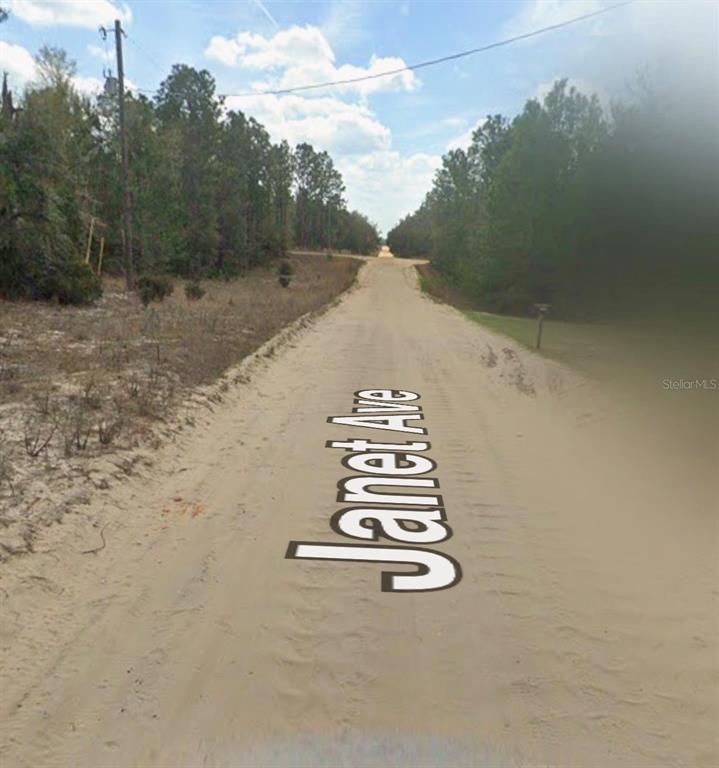 A dirt road stretches between wooded areas under a blue sky with scattered clouds — JANET AVE, INTERLACHEN, FL