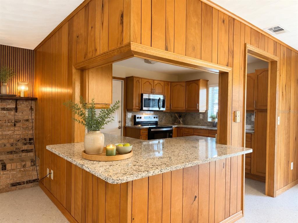 A kitchen with wood paneling, granite countertops, and a pass-through window to the living area — 13895 SE 100TH AVENUE, SUMMERFIELD, FL