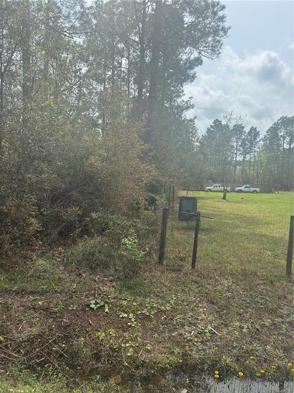A grassy yard with a wire fence, trees, and two parked trucks in the distance — 4205 REGINA STREET, HASTINGS, FL