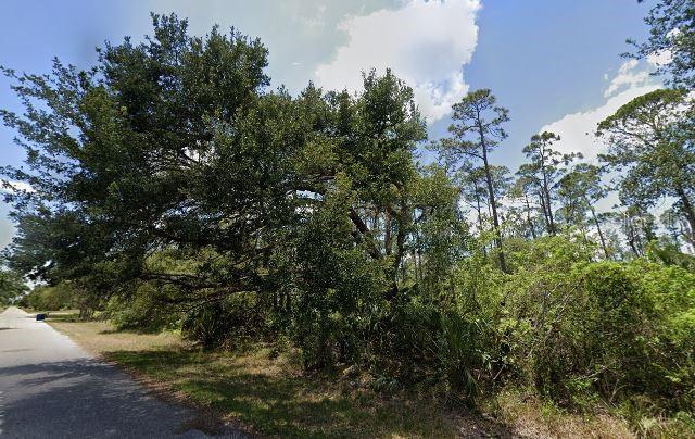 A large oak tree stands beside a paved road next to a wooded lot — 1805 JEFFERSON AVENUE, LEHIGH ACRES, FL