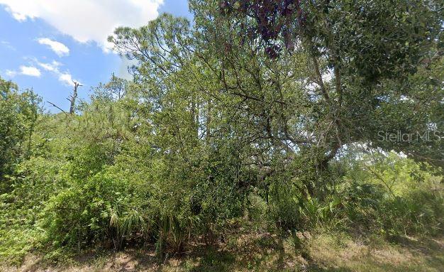 A dense, wooded lot with various trees, shrubs, and palmettos under a blue sky — 1805 JEFFERSON AVENUE, LEHIGH ACRES, FL
