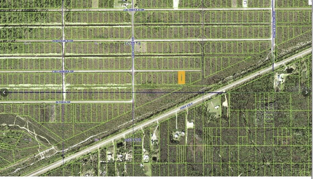 This is a satellite map showing a highlighted rectangular lot within a grid of land — CALLIANDRA DRIVE, INDIAN LAKE ESTATES, FL