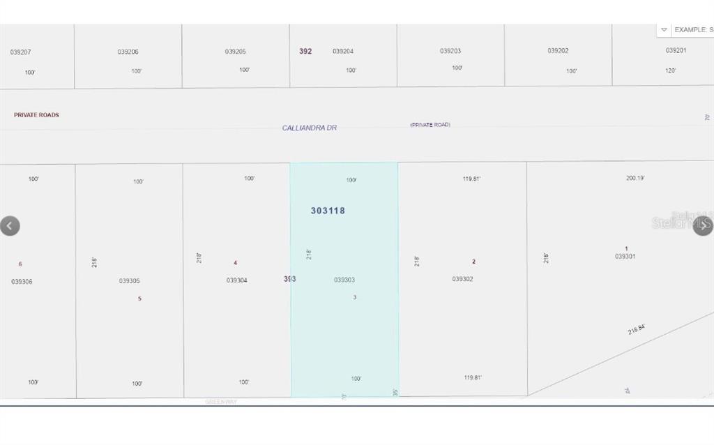 This is a property tax map showing parcel boundaries and dimensions for a residential area — CALLIANDRA DRIVE, INDIAN LAKE ESTATES, FL
