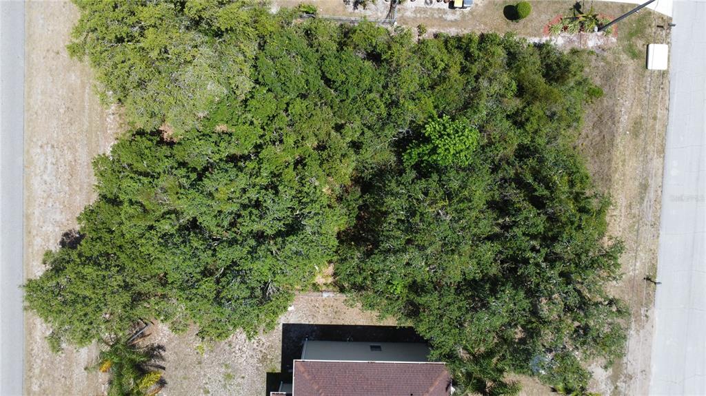 An aerial view shows a densely wooded vacant lot situated between two paved roads — 315 CHURCHILL COURT, KISSIMMEE, FL