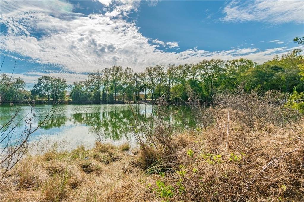 A view of a pond bordered by tall trees and dry, overgrown vegetation under a sky — 12102 PARKWOOD ST, HUDSON, FL