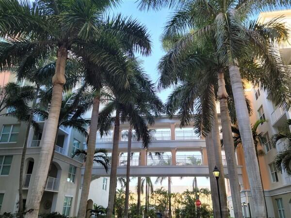 Tall palm trees stand between two multi-story apartment buildings connected by an elevated walkway — 804 E Windward Way # 508, Lantana FL 33462, LANTANA, FL