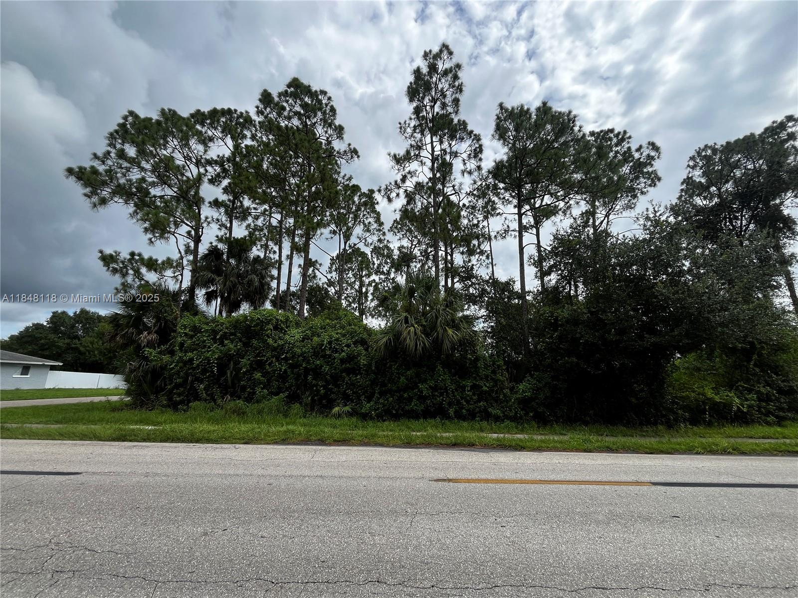 A paved road runs in front of a wooded lot with tall pine trees — 701 E 6th St, Lehigh Acres FL 33972, LEHIGH ACRES, FL