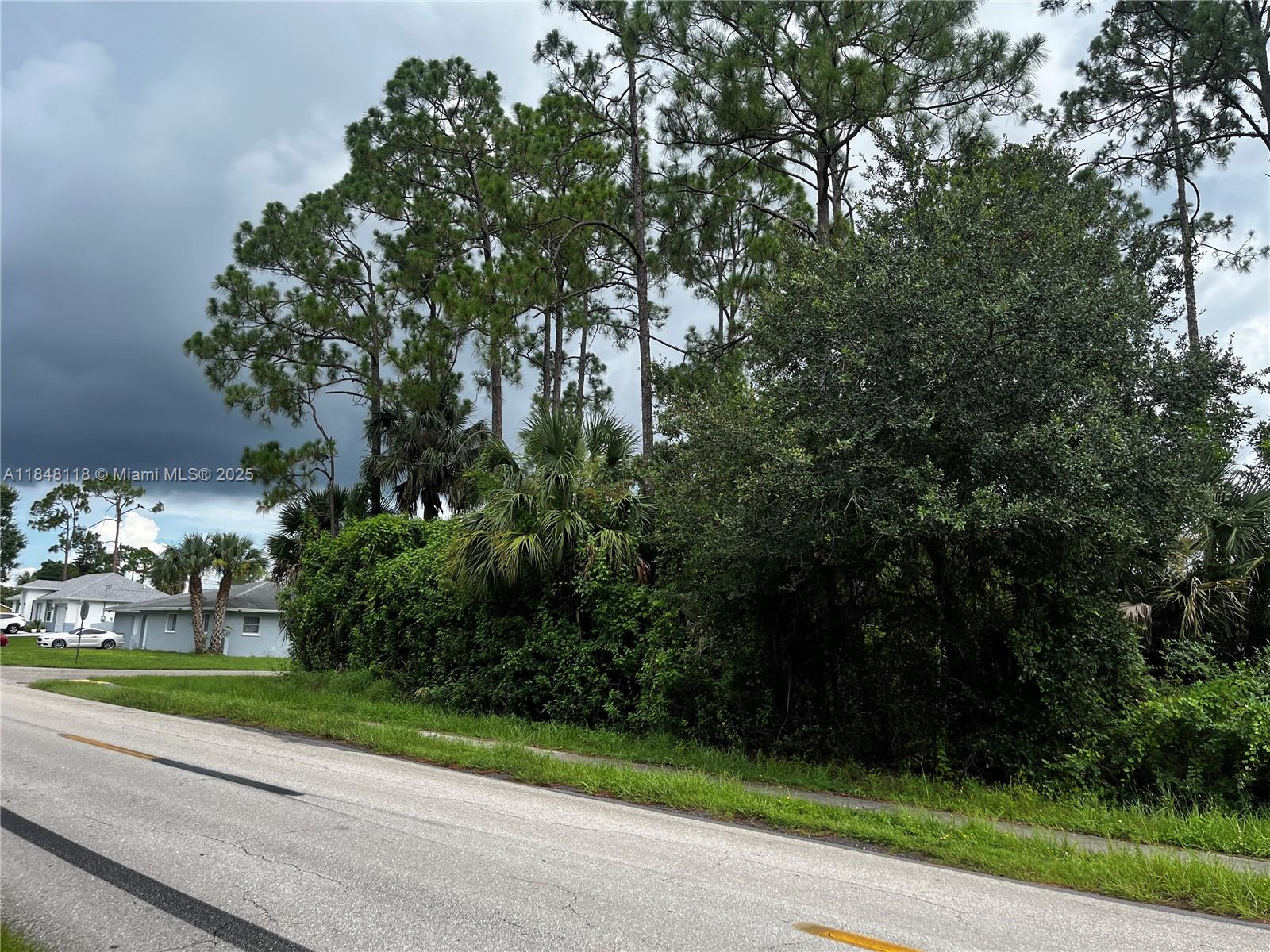 A paved road runs in front of a wooded lot with tall pine trees — 701 E 6th St, Lehigh Acres FL 33972, LEHIGH ACRES, FL