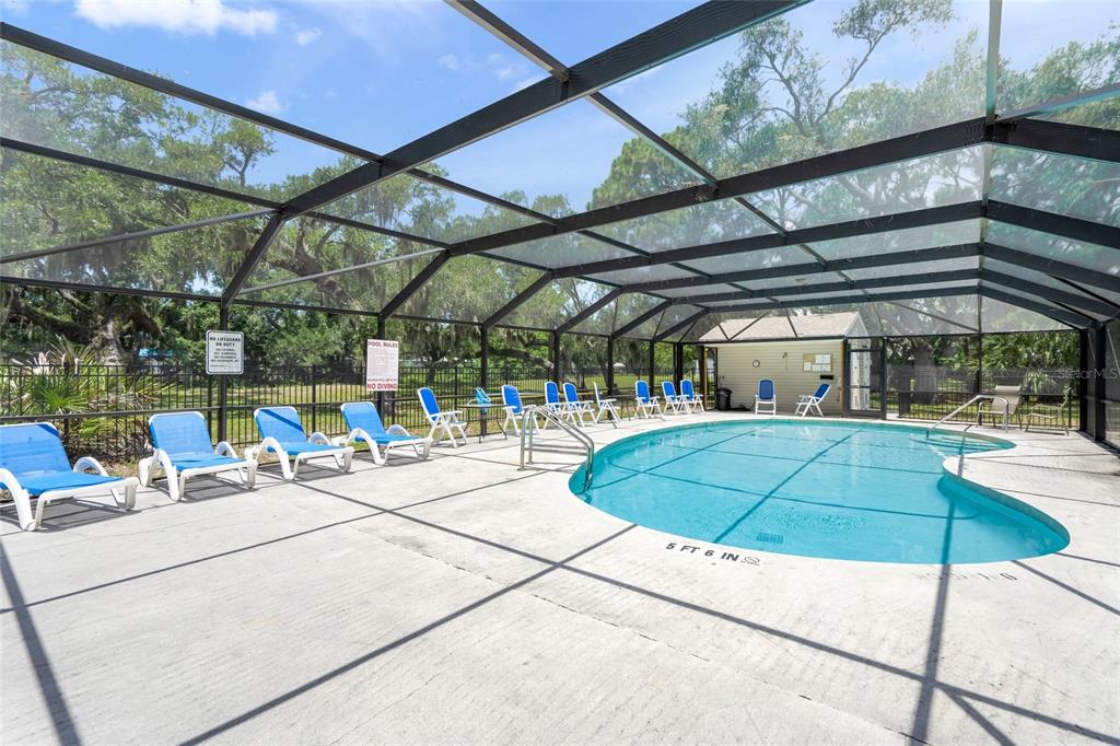 A screened-in swimming pool area features lounge chairs on a concrete deck under trees — 319 BEARDED OAKS CIRCLE, SARASOTA, FL