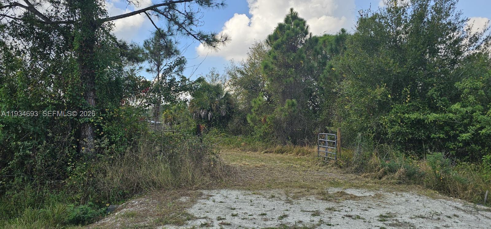 A gravel driveway leads to a metal gate surrounded by dense trees and vegetation — 650 N Kennel, Clewiston FL 33440, CLEWISTON, FL