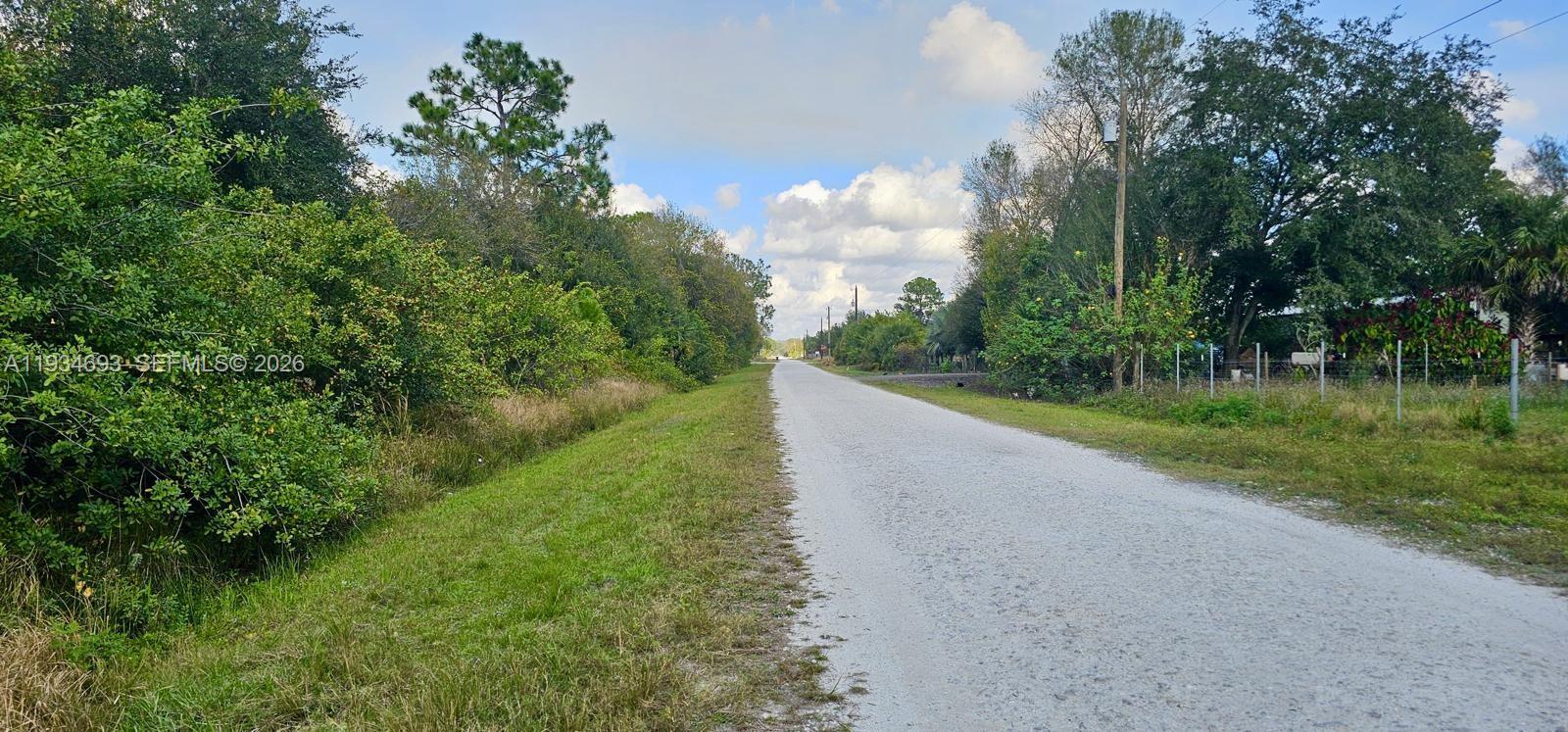 A gravel road stretches into the distance, flanked by dense trees and vegetation — 650 N Kennel, Clewiston FL 33440, CLEWISTON, FL