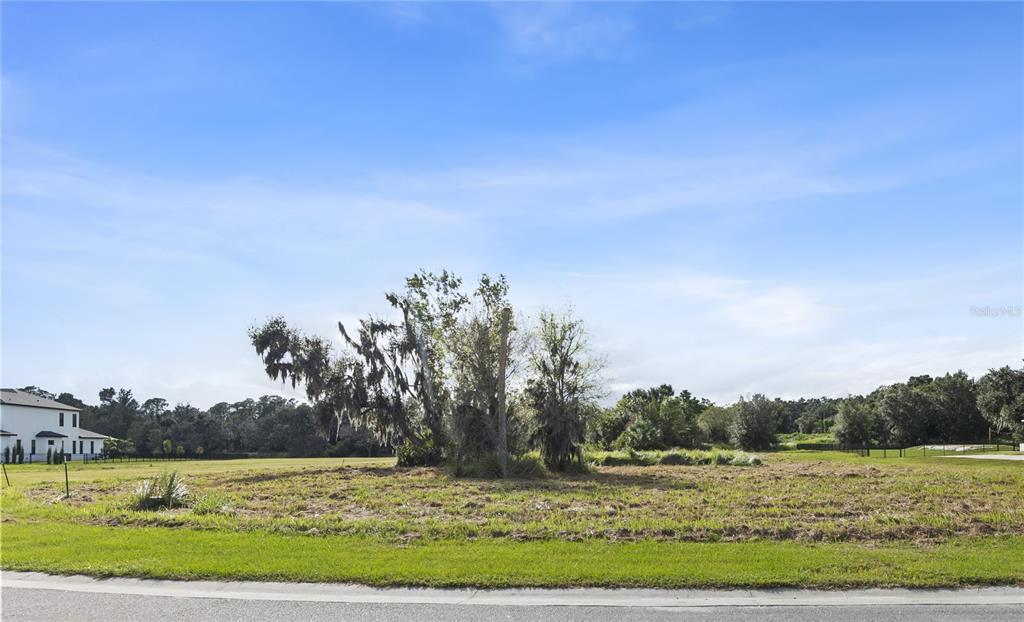 15323 FISHHAWK HEIGHTS RUN, LITHIA, FL — photo 3 of 14