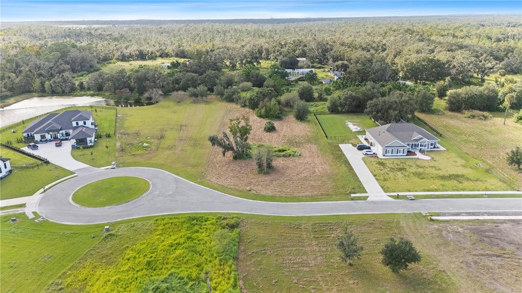 15323 FISHHAWK HEIGHTS RUN, LITHIA, FL — photo 4 of 14