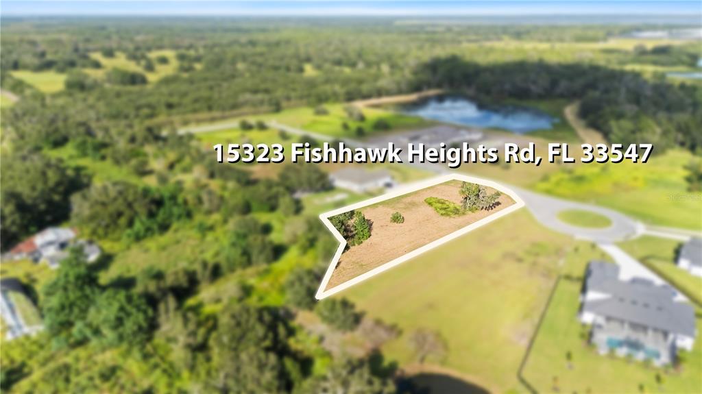 15323 FISHHAWK HEIGHTS RUN, LITHIA, FL — photo 5 of 14