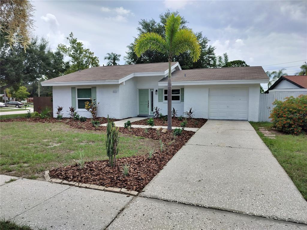 A single-story white brick house features a green front door, a palm tree, and a driveway — 2661 WARMSPRINGS WAY, PALM HARBOR, FL