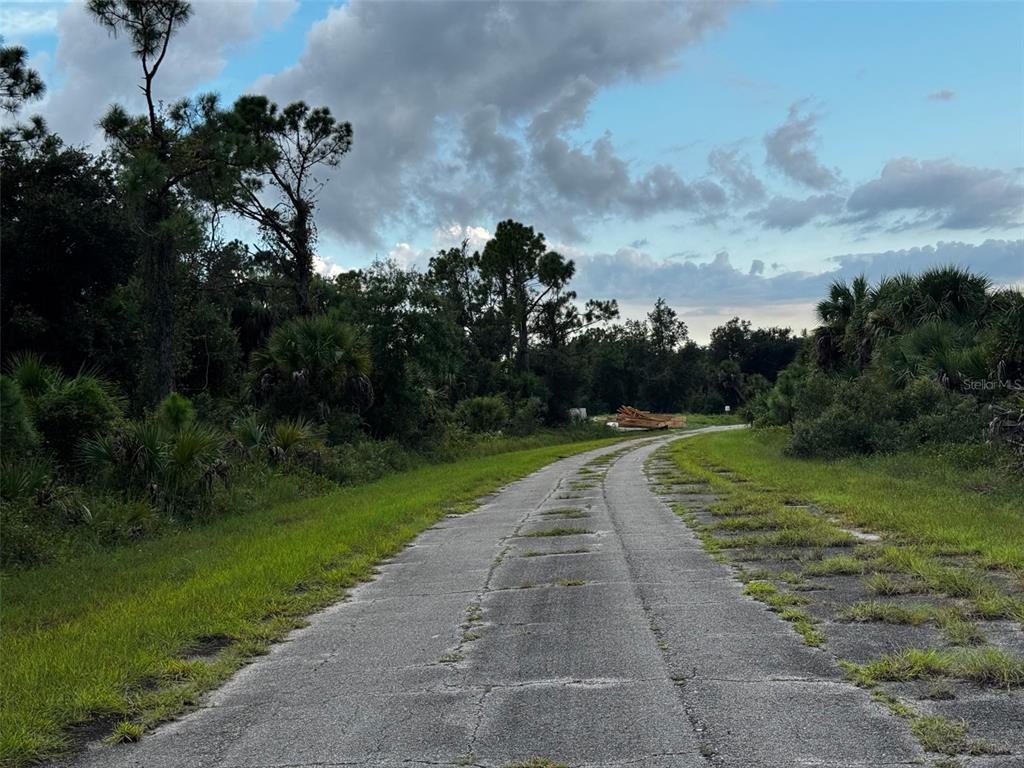 A narrow, weathered asphalt road winds through a wooded area with dense vegetation — 0 HAMBURG DRIVE, NORTH PORT, FL