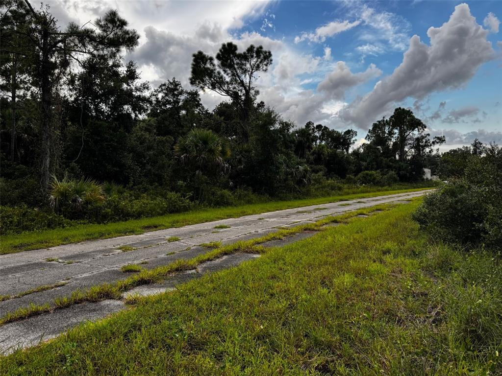 A narrow, weathered asphalt road stretches through a grassy, wooded landscape under a cloudy sky — 0 HAMBURG DRIVE, NORTH PORT, FL