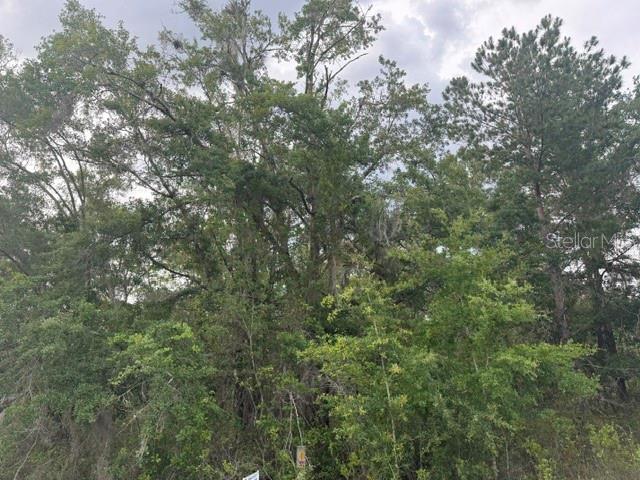 A dense, wooded lot features a variety of mature trees and thick underbrush — 21902 NE 69TH PLACE, MELROSE, FL