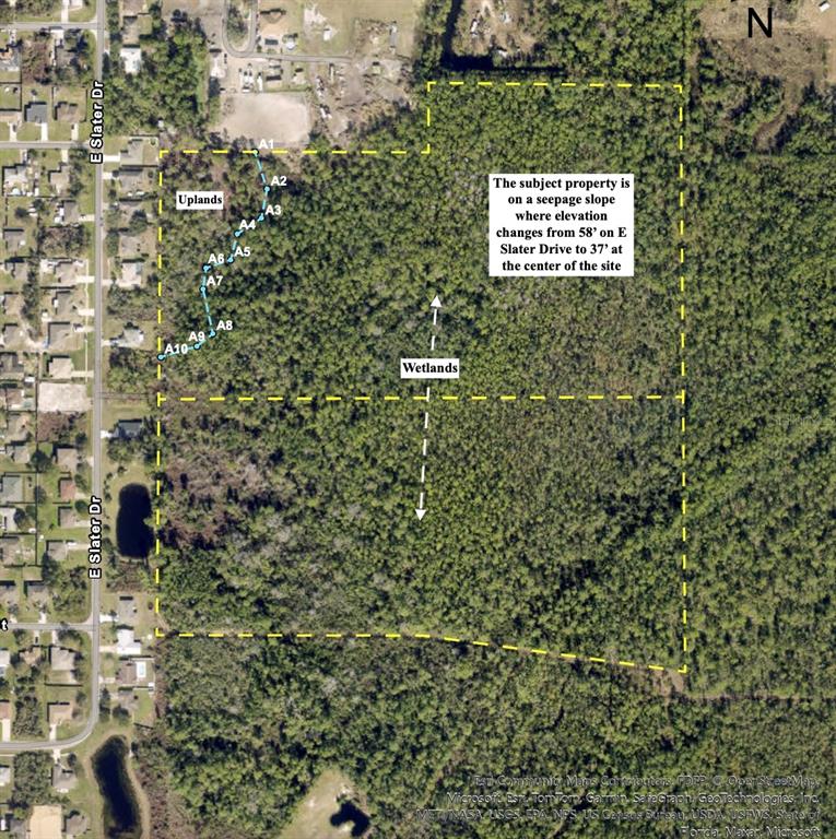 This aerial map shows a wooded property with a designated wetland area and elevation markers — TUDOR STREET, DELTONA, FL