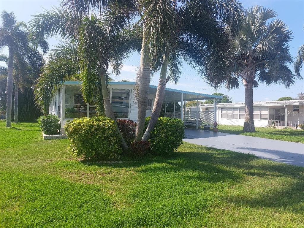 A white mobile home features a screened-in porch, a carport, and several palm trees — 176 INDEPENDENCE AVENUE UNIT 6, PALM HARBOR, FL