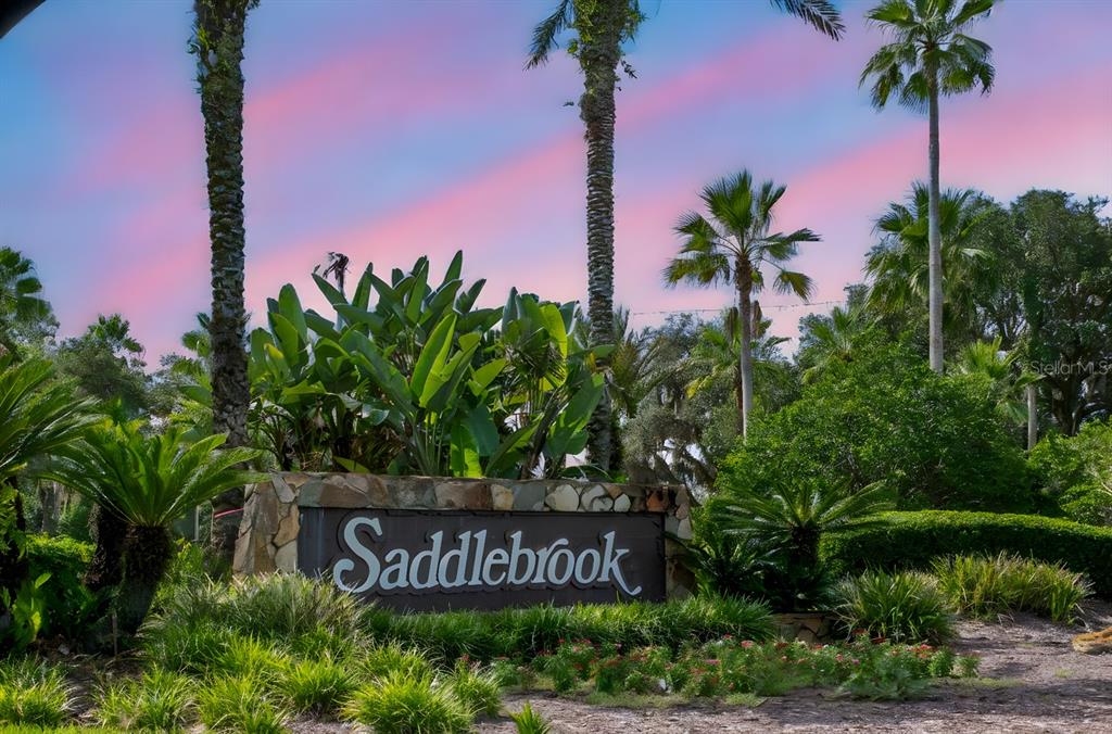 A stone monument sign for Saddlebrook sits amidst lush tropical landscaping and tall palm trees — 4947 MILL POND ROAD UNIT 3104/3106, WESLEY CHAPEL, FL