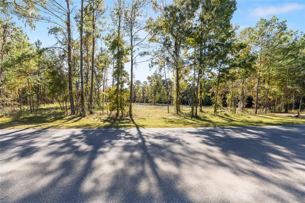 TBD NW 145 STREET, WILLISTON, FL — photo 3 of 12