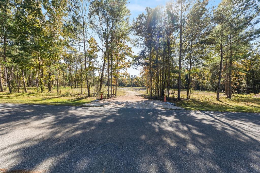 TBD NW 145 STREET, WILLISTON, FL — photo 4 of 12