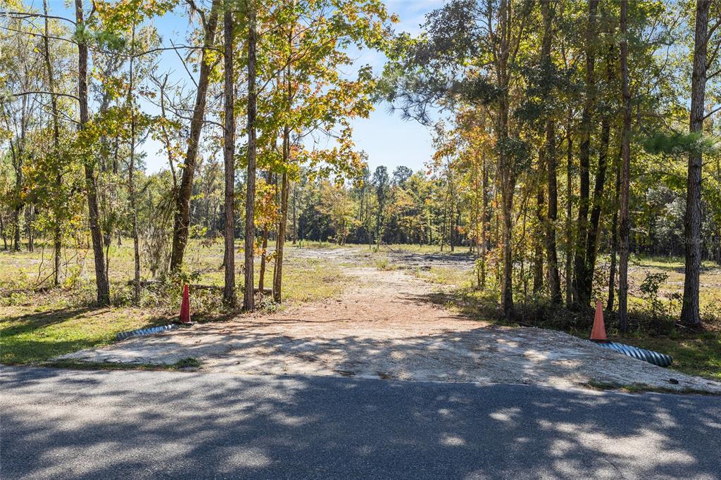 TBD NW 145 STREET, WILLISTON, FL — photo 5 of 12