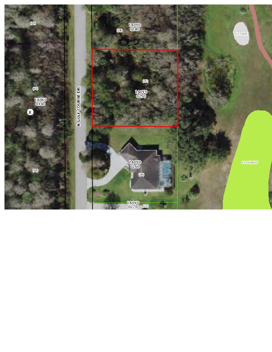 This is a satellite map view showing a vacant, wooded residential lot outlined in red — 603 N Golf Course Drive, FL 34429, FL