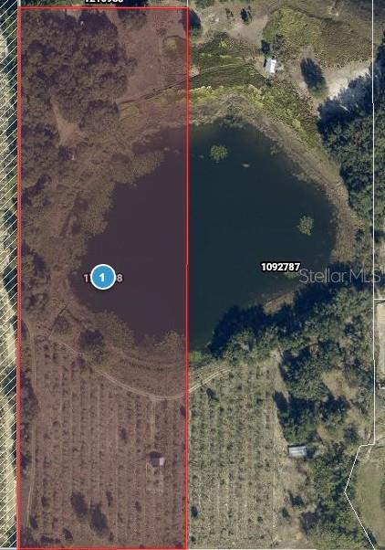 An aerial map view shows a rectangular property lot containing a pond and orchard — 0 EARTH STAR LANE, GROVELAND, FL