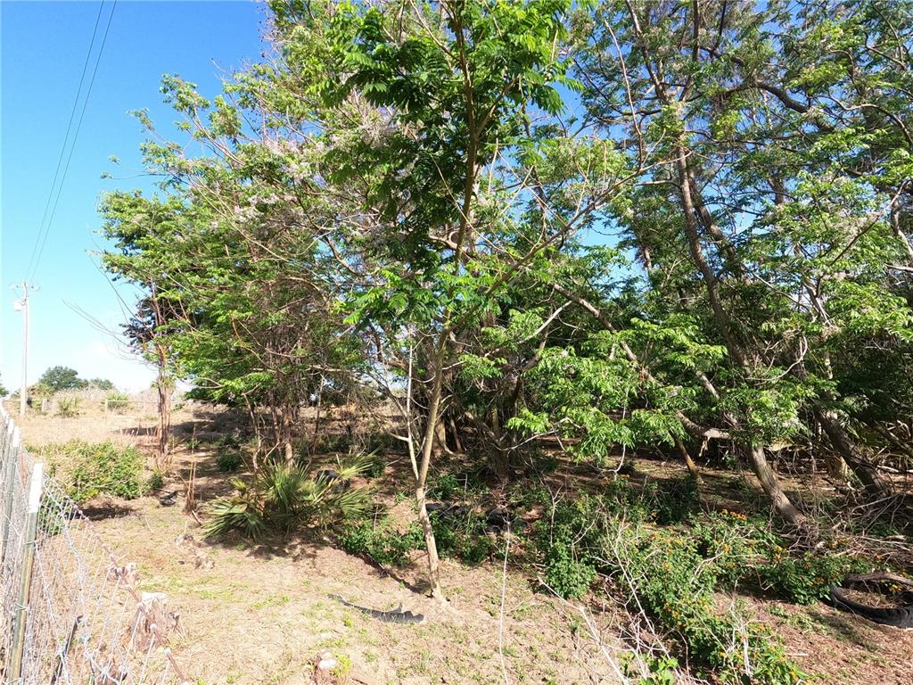 A view of a wooded lot with a wire fence in the foreground — 0 EARTH STAR LANE, GROVELAND, FL