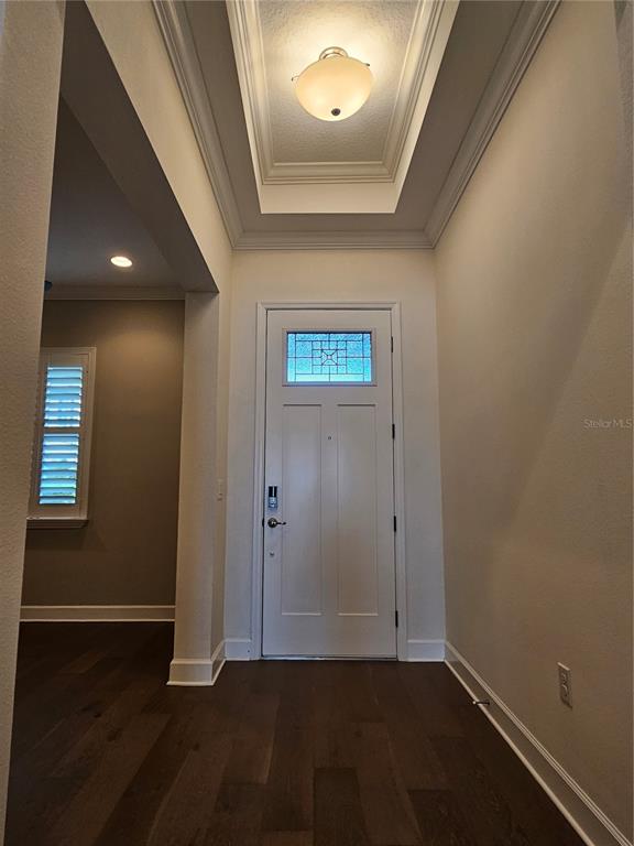 An entryway features a white front door with a glass transom, tray ceiling, and flooring — 11112 SWANSEA STREET, RIVERVIEW, FL