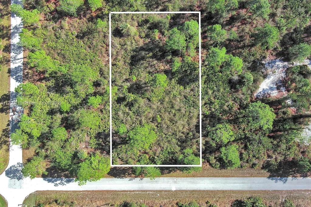 An aerial view shows a rectangular, wooded vacant lot outlined in white near a road — 1020 LAKE AVENUE, LEHIGH ACRES, FL