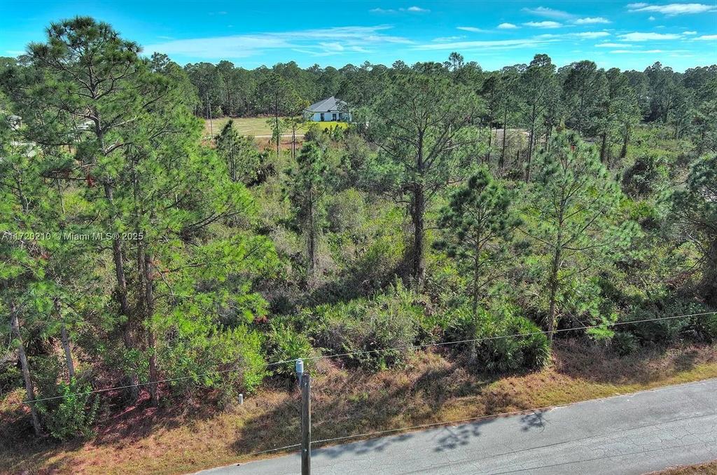 An aerial view shows a wooded, undeveloped lot with a house visible in the distance — 1020 LAKE AVENUE, LEHIGH ACRES, FL