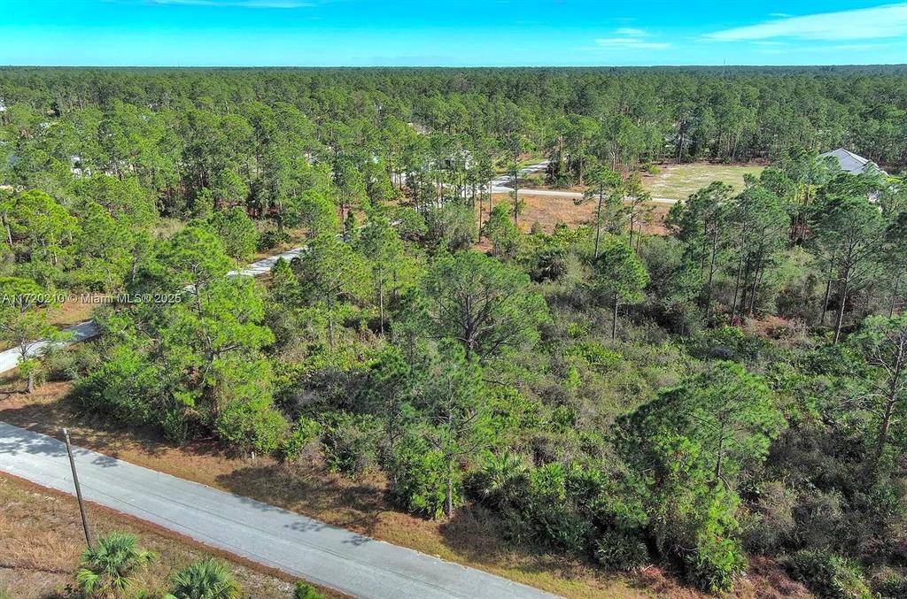 An aerial view shows a vacant, wooded lot bordered by a paved road — 1020 LAKE AVENUE, LEHIGH ACRES, FL