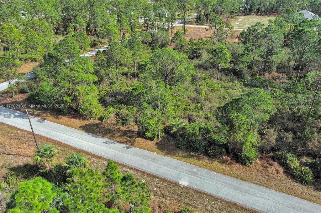An aerial view shows a paved road bordering a wooded lot with dense vegetation — 1020 LAKE AVENUE, LEHIGH ACRES, FL