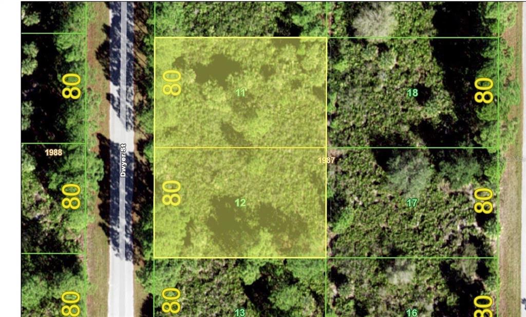 This is an aerial map showing two adjacent, rectangular, wooded land parcels highlighted in yellow — 3198 DWYER STREET, PORT CHARLOTTE, FL