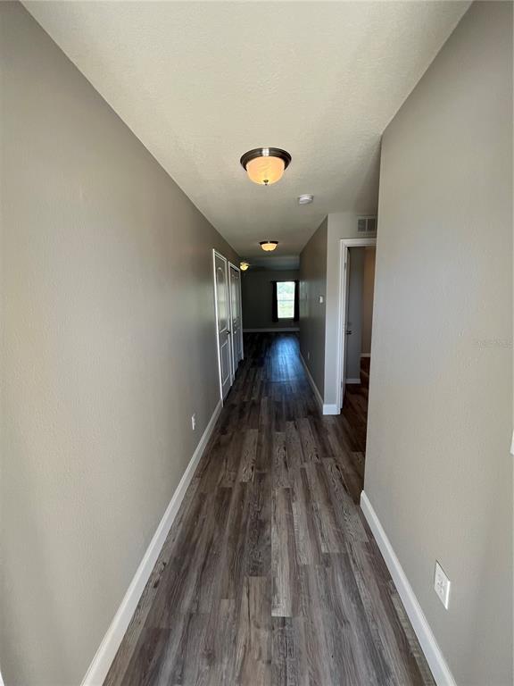A hallway with gray walls, wood-look flooring, and two ceiling light fixtures — 4167 SAND RIDGE BOULEVARD, SPRING HILL, FL