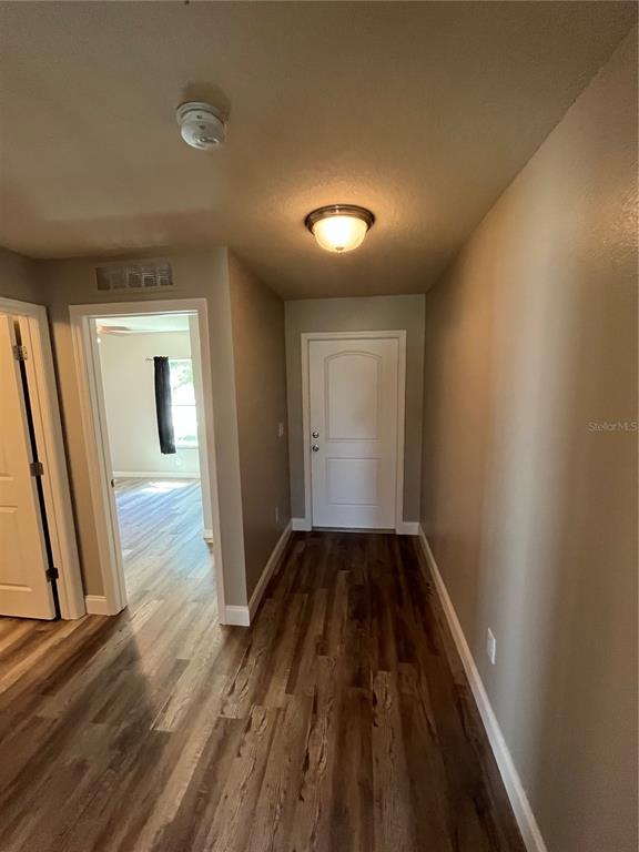 A hallway with wood-look flooring, a white door, and a ceiling light fixture — 4167 SAND RIDGE BOULEVARD, SPRING HILL, FL